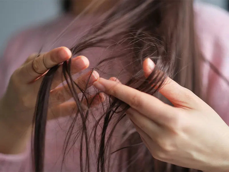 discover-why-is-a-lack-of-nutrients-linked-to-hair-damage